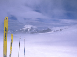 Campo de Hielo Sur