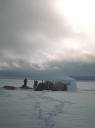 Campamento sector Penguin